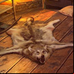 Bridge to Another World: Escape from Oz icon