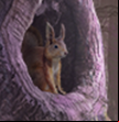 Grim Tales: Dual Disposition Collector's Edition icon